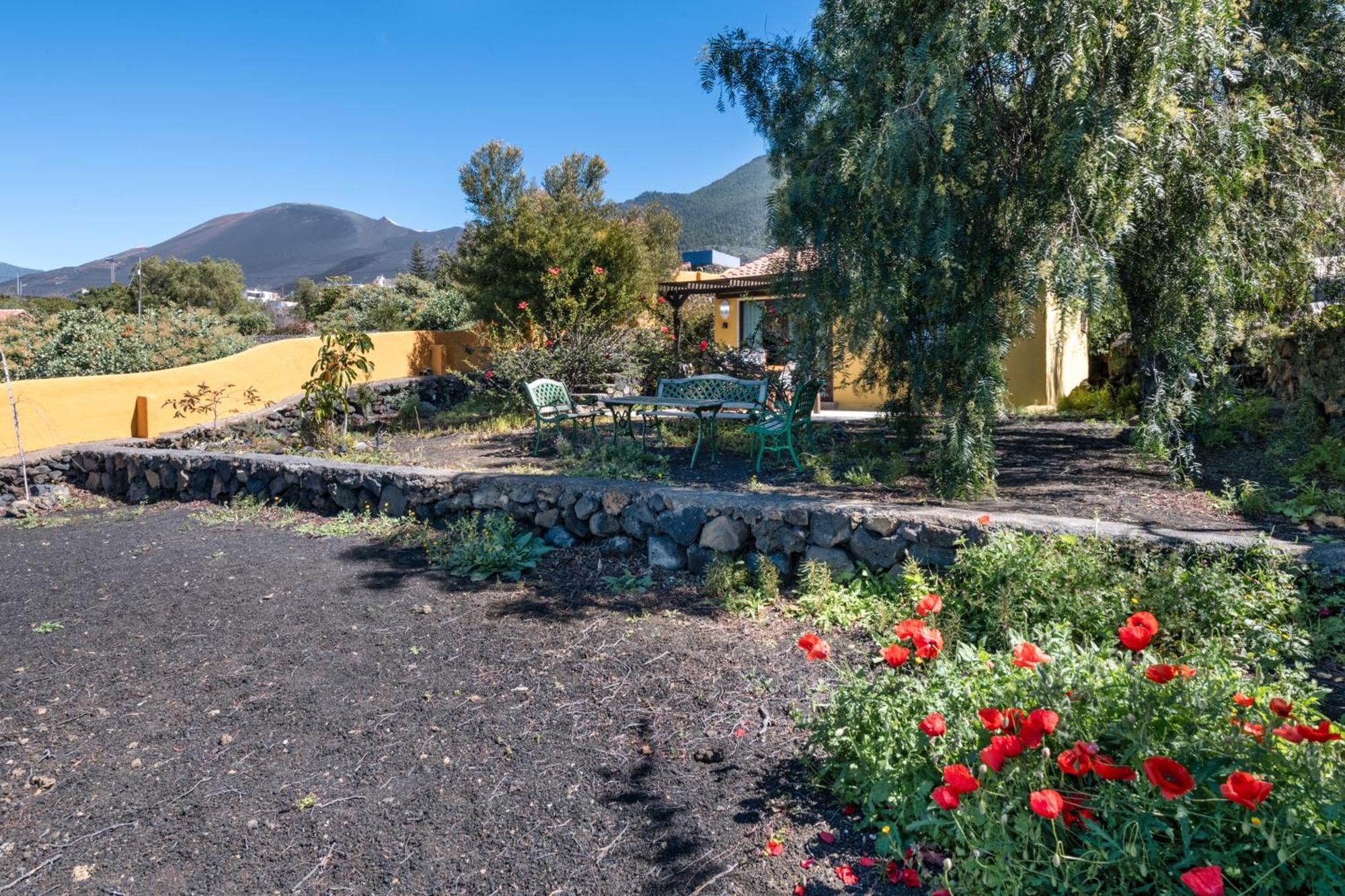 El Jardin De Las Pleyades Los Llanos De Aridane Buitenkant foto